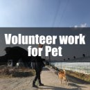 페티즈(petis) 이미지