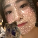 핑퐁프랜드 이미지