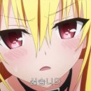 코돈부르 이미지