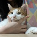 집밥권선생 | 집밥 권선생이랄까