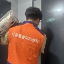 거북섬동 이미지