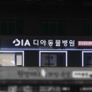 디아동물병원 이미지