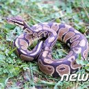 제주야생동물구조센터 이미지