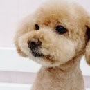 소답동237 이미지