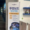 공주-61 | [여수/아쿠아 플라넷] 인어공주, 투명보트 체험 볼거리 천국 여수 아쿠아리움 후기