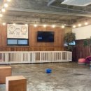 지금여기서행복하개 이미지