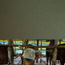 용암농장 이미지