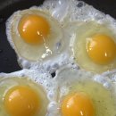 횃대둥우리 이미지