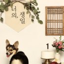 스튜디오코기 이미지
