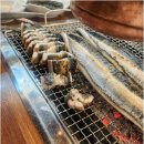 유동장어 이미지