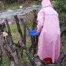 성산코지 이미지