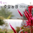 리언농장 이미지