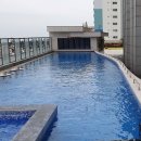 올카워시 | 롯데시티호텔 제주 디럭스 트윈 오션뷰 수영장 솔직후기