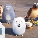 (주)펫박스 이미지