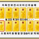 병오년 육십갑자표 (산경산악) 이미지