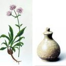 순전한 나드 이미지