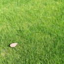 그린스크린골프연습장 이미지