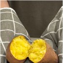 헬시팜