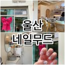 [울산] 동시시술 및 주차가능 한 울산동구 &lt;네일무드&gt; 후기!
