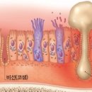 로얄에이알씨(주) 이미지