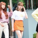 보라