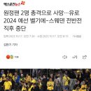 원정팬 2명 총격으로 사망…유로 2024 예선 벨기에-스웨덴 전반전 직후 중단 이미지