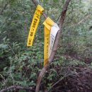 이종태농장 이미지