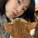 인성 이미지
