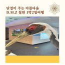 홍익로 20 걷고관광초소 앞 | 단절이 주는 완벽함, 철원 DMZ 1박2일 기업힐링여행