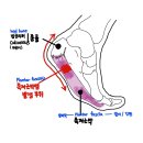 유주테라피 이미지