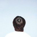 태형 이미지