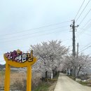 개성코다리 & 해물찜 이미지