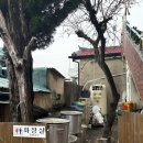 김해 봉리단길 멕시코 타코 맛집 디아나타코 내돈내산 후기