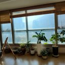 양덕부동산중개사무소 이미지