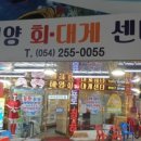 해양회대게센타 이미지
