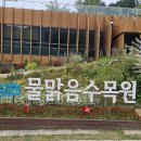 물맑음수목원 목재문화체험장 티스토리