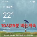 매니아카페