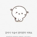 벨라쿠치나 이미지