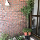 레이지연화 이미지