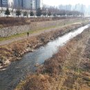 원성천로 이미지