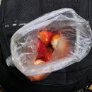 롯데리아 부산가야점 앞 | 부산 혼자 여행 1박2일 1편 평산옥/네살차이/남천낙지/💎🥕