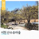 우정문화마을F | 경기도 이천 산수유마을 영축사 육괴정 볼거리 나들이 갈만한곳