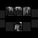 일리동물의료센터 이미지