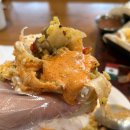 3943 | [진해 여좌동] 진해 군항제 맛집 추천 | 타코집 내돈내산 솔직 후기