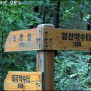 우면산3-28 이미지