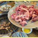 영도뒷고기