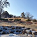 성사동 권희선생묘 이미지