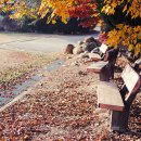 득량중학교 이미지