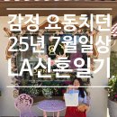 요동환경 | 감정이 요동치던 25년 7월 일상