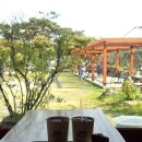 경주괘릉 | 경주 아기랑 카페괘릉 방문후기 (좌식 있음, 사진찍기 좋음, 반려견이랑 가는 것 추천)